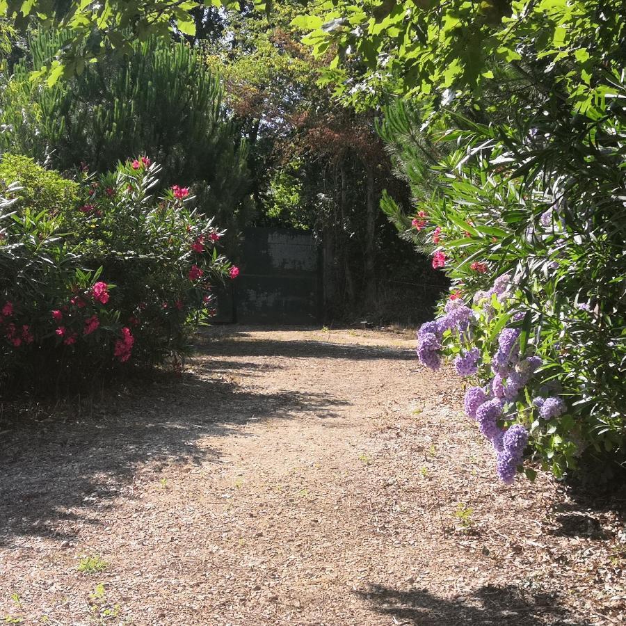 アルベルガリア・ア・ヴェーリャ Quinta Do Soldadoヴィラ エクステリア 写真