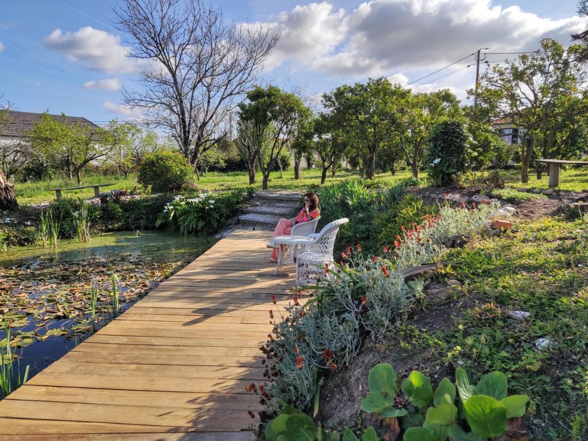 アルベルガリア・ア・ヴェーリャ Quinta Do Soldadoヴィラ エクステリア 写真